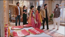 Apollena - 1st February 2025